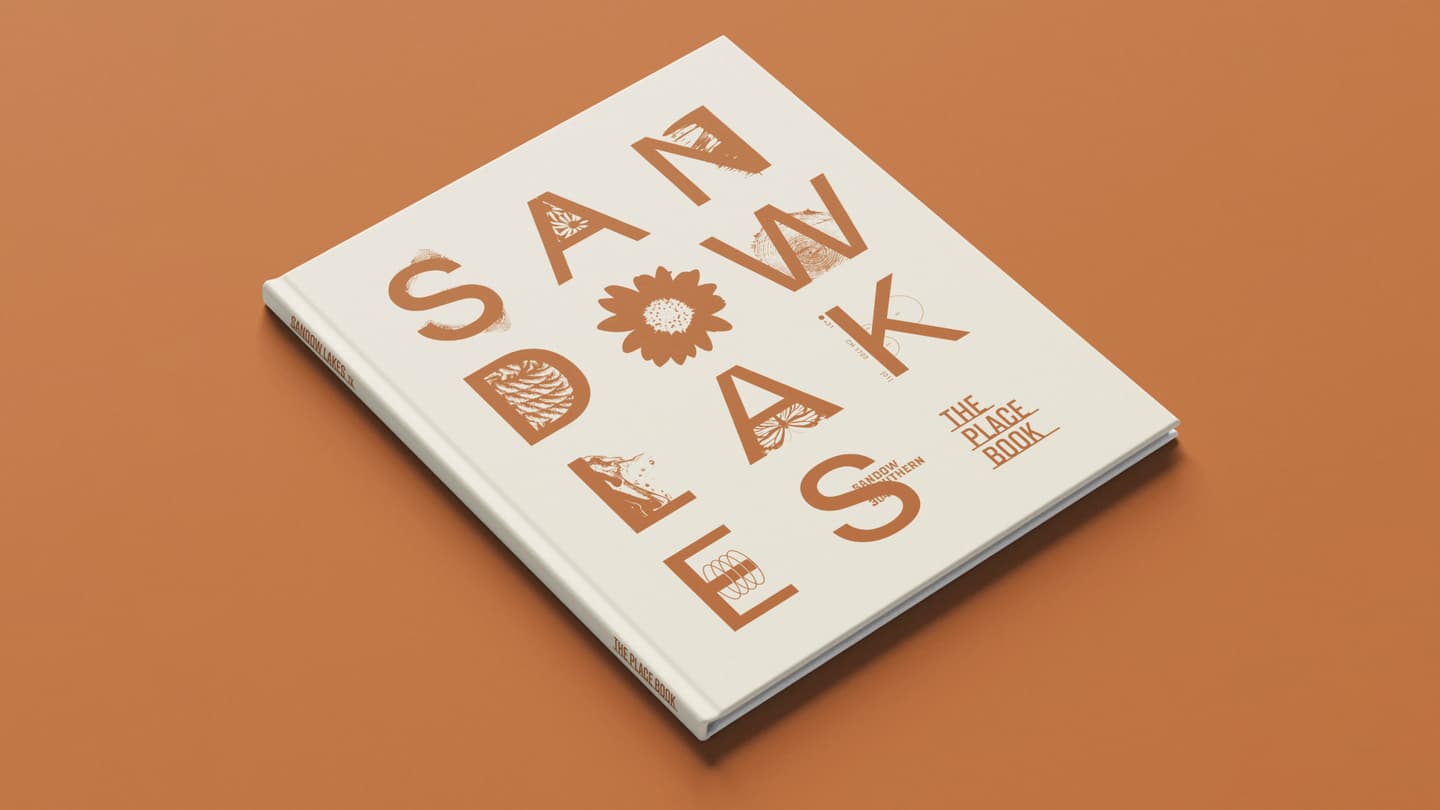 A white book with SAN DIEGO SANDWAKES in large brown letters and floral designs on the cover, subtitled THE PLACE BOOK, rests on an orange surface.